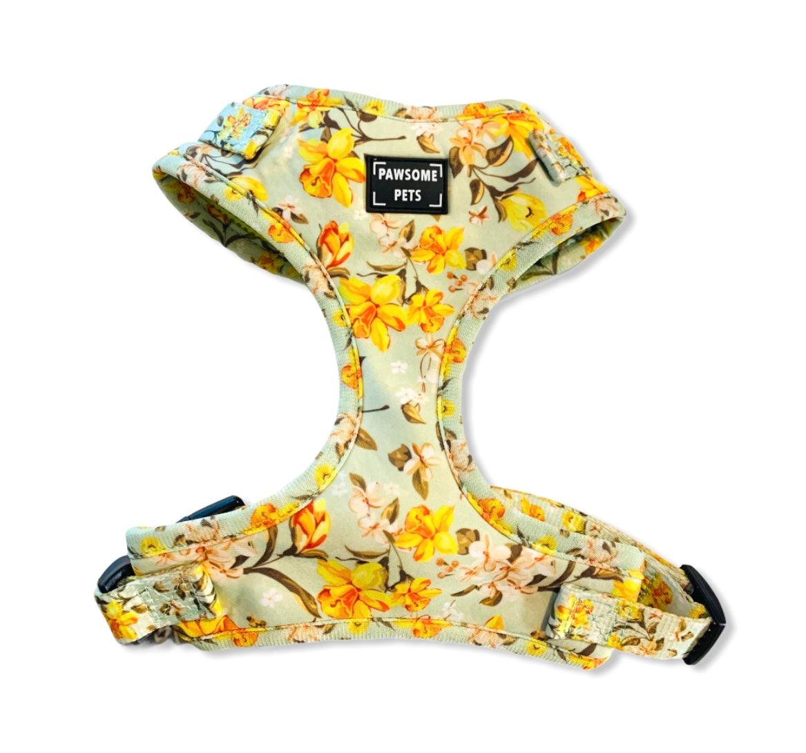 BUNDLE - FORSYTHIA FLOWER (7 PIECES) PAWSOME PETS