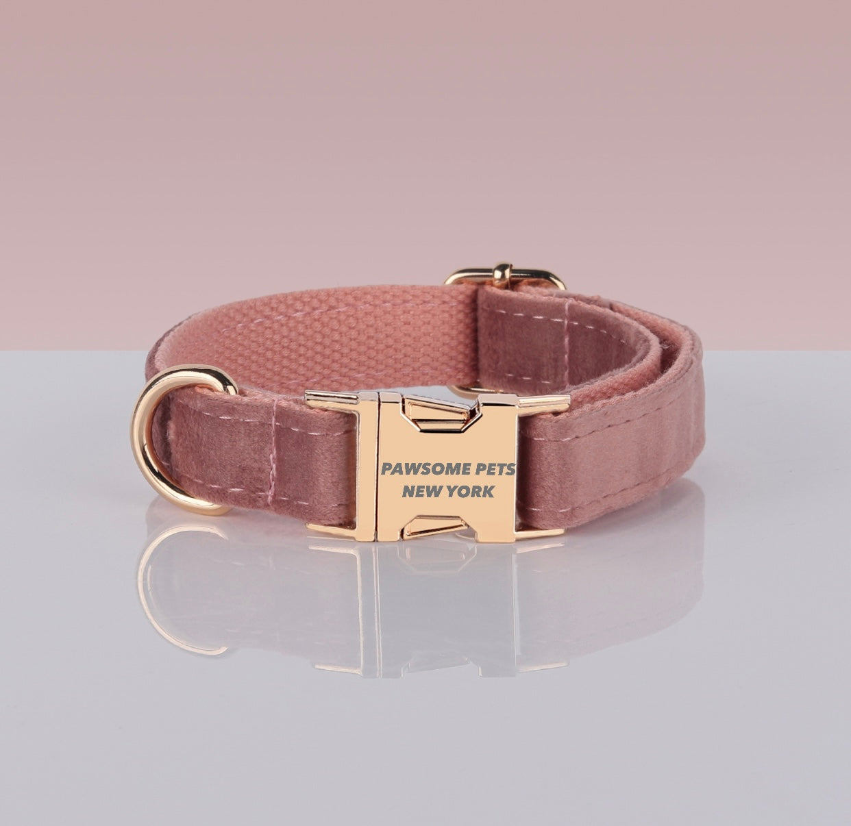 PAWSOME DOG COLLAR - #14 Pawsomepetsnewyork