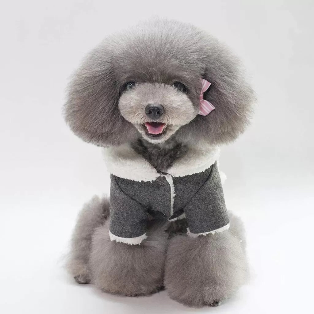 Dark Winter Dog Coat by Doggy Doo Little Doggy Doo Little