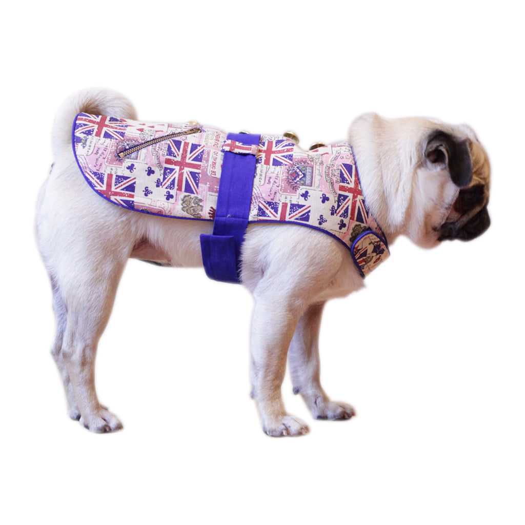 Patriotic 3 by Doggy Doo Little Doggy Doo Little