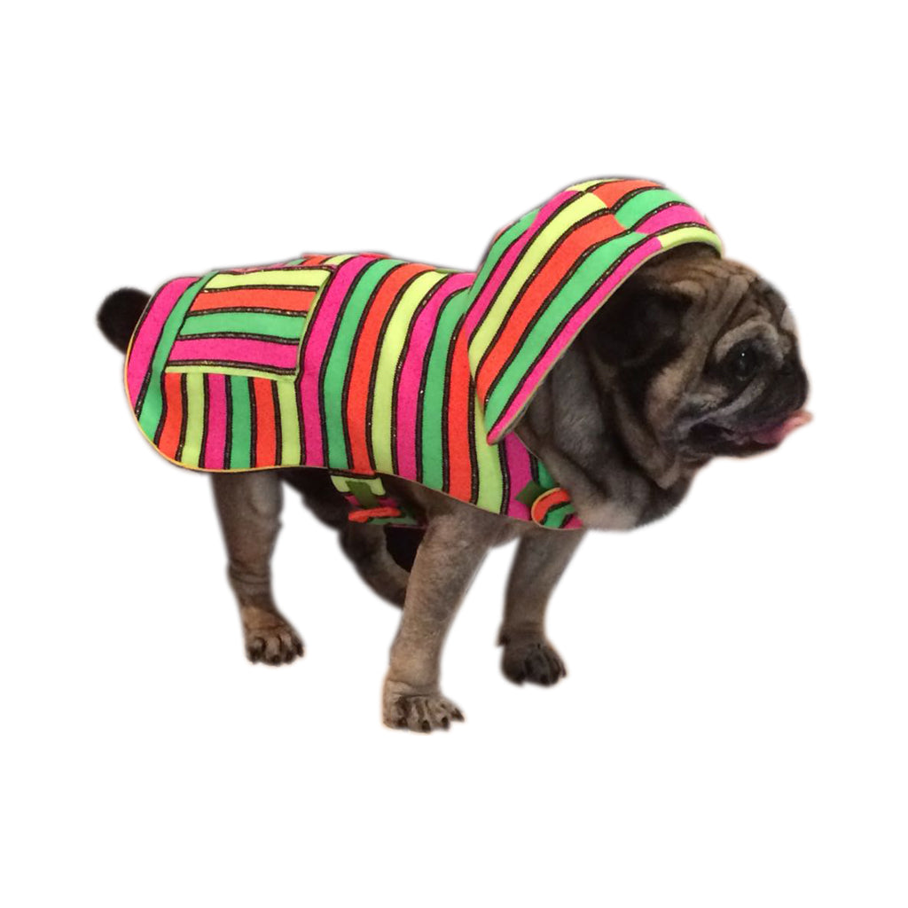 Rainbow by Doggy Doo Little Doggy Doo Little