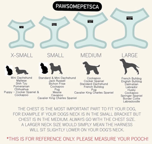 ADJUSTABLE HARNESS - IVORY PAWSOME PETS