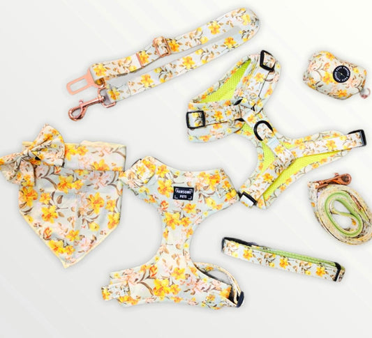 BUNDLE - FORSYTHIA FLOWER (7 PIECES) PAWSOME PETS