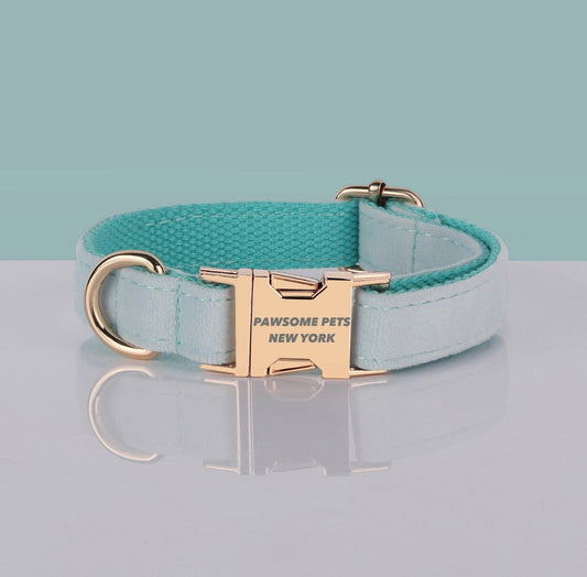 PAWSOME DOG COLLAR - #29 Pawsomepetsnewyork