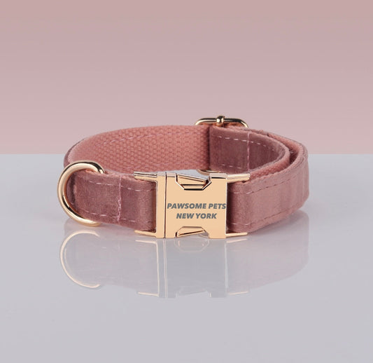 PAWSOME DOG COLLAR - #14 Pawsomepetsnewyork
