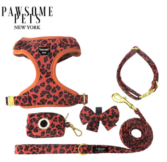 BUNDLE - ORANGE LEOPARD PAWSOME PETS