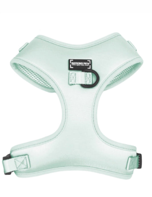 BUNDLE - MINT GREEN PAWSOME PETS
