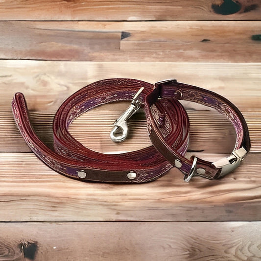 "The Django" Designer Dog Collar Set by Finnigan's Finnigan's Play Pen
